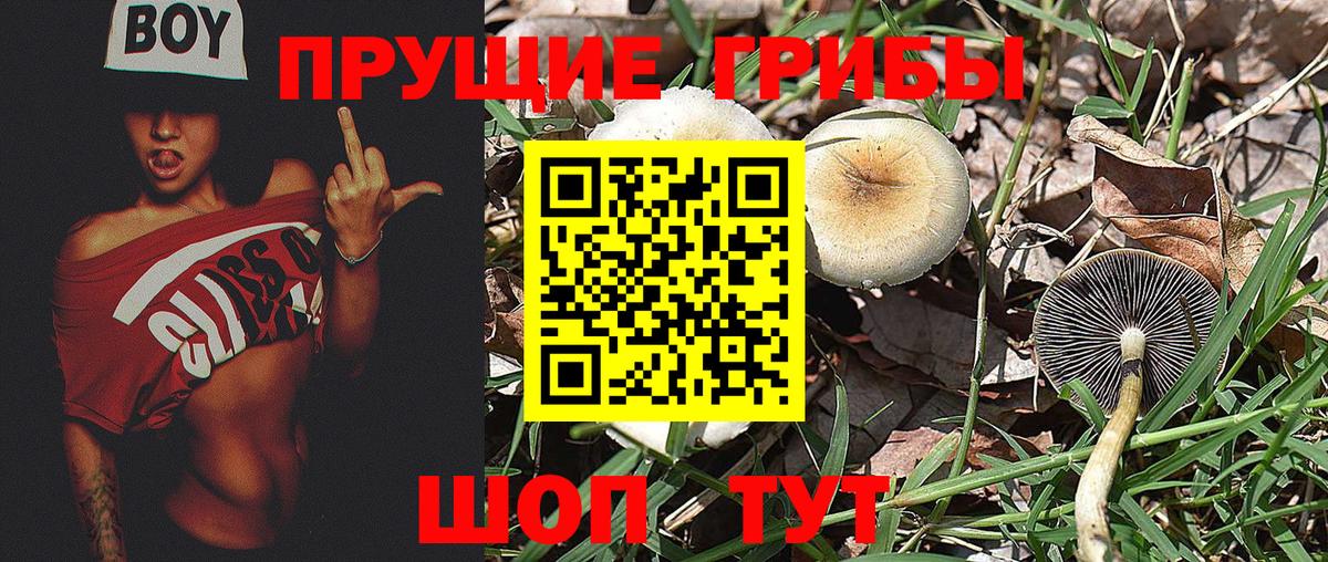 Нурлат  Галлюциногенные грибы прущие грибы  Вход с VPN 